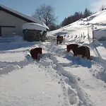 Staudenhof Viamala By Interhome Feriehus Praz (Graubunden)