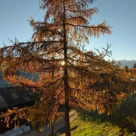 Staudenhof Viamala By Interhome Holiday home *