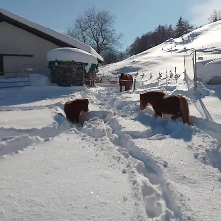 Staudenhof Viamala By Interhome Holiday home Praz (Graubunden)