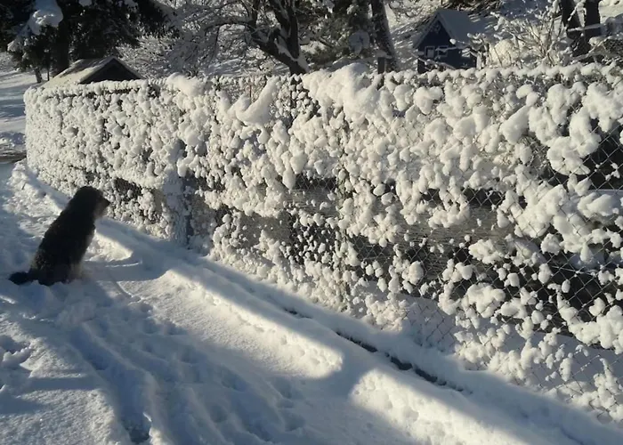 Staudenhof Viamala By Interhome *