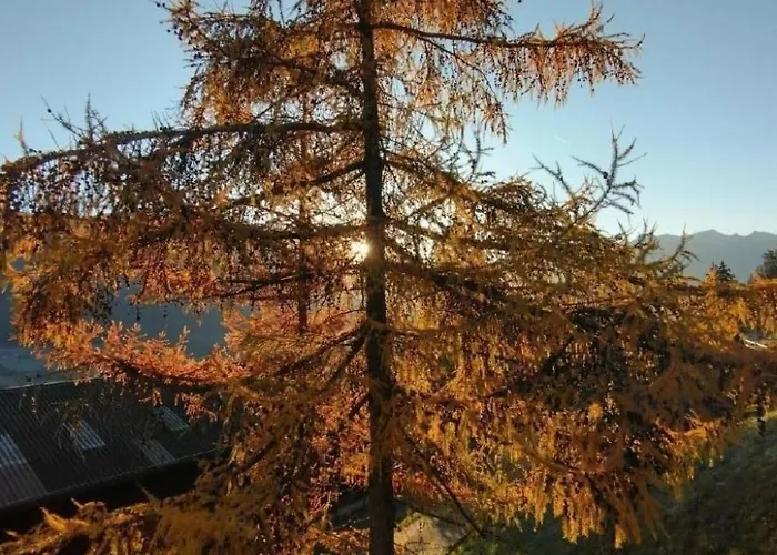 Staudenhof Viamala By Interhome Vakantiehuis *