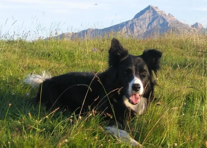 Staudenhof Viamala By Interhome Praz (Graubunden)