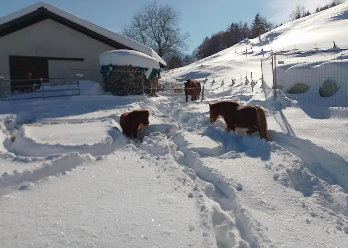 Staudenhof Viamala By Interhome Semesterbostad Praz (Graubunden)